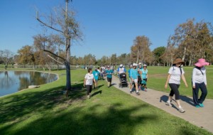 ACC-Orange County Shows Its Support at 2016 Lung Force Walk-a-Thon Fundraiser Gallery