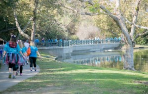 ACC-Orange County Shows Its Support at 2016 Lung Force Walk-a-Thon Fundraiser Gallery