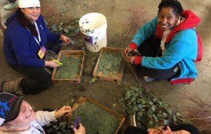 OTA Program Volunteers at Rose Parade Gallery