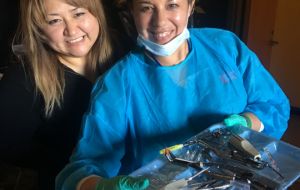 ACC-Orange County Dental Assisting Students Volunteer at Westminster Clinic Gallery