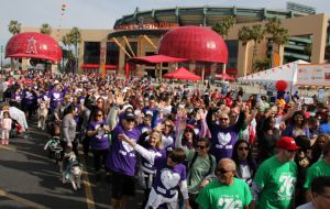 ACC Raises $50,000 for American Heart Association at Heart Walk 2017 Gallery